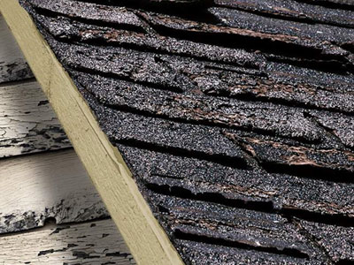 A+ Roofing and Construction Images